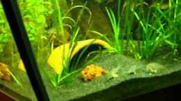 Video von Günther Kröger (iMNfVddp8L8)