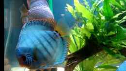 Video Diskusbecken von ehemaliger User (icDEy17U8Q4)