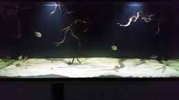 Video Video von einrichtungsbeispiele.de von Bernd N. (ipuaOC-KjEk)