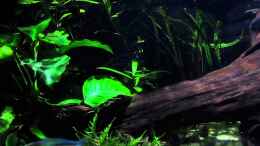 Video Video von Einrichtungsbeispiele.de von wsc (jADKWBF2UFM)