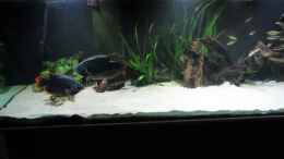 Video Kuno´s Traum Update von Fishers Friend (jD3c0QODtbs)