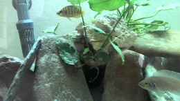 Video Video von Einrichtungsbeispiele.de von Patrick Scheffer (jXSK6L2Imbg)