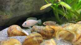 Video Erster Eindruck Besatz von ehemaliger User (jhviL9ffWlE)