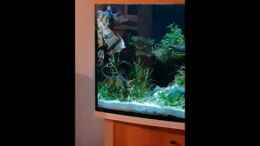 Video Da war grad Futter von Petrich15 (js_shH1ZJs4)