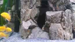 Video Malawi von Tobias Janßen (juZUpiEDVaw)