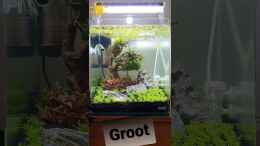 Video Groot Day8 von Marco B. (kJRDjOndCQw)