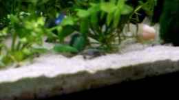 Video  von Jarno Wilens (keyvcC-3tQU)