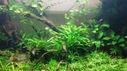 Video 10.12.2019 von Smo (khUY_S2UU5w)