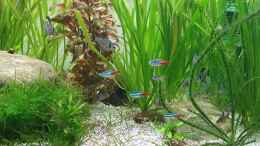 Video Video 1 von ehemaliger User (kkVQEHefBA0)