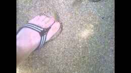 Video Regenwaldbach mitten im Lam Ruh Nationalpark von -Der Österreicher- (kn3d51oFb5k)