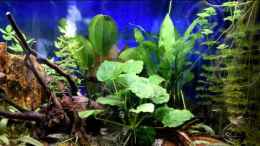 Video Ansicht Südamerika Becken von Acki50 (krlHW11O5Qo)