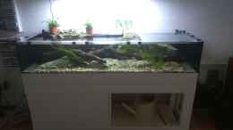 Video Strömungsbecken mit Regenbogenelritzen von pacho (ksTLqsMPU-Y)