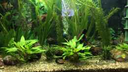 Video Leben unter Wasser von herkla (kvrXLZ7RLv0)