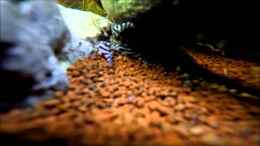 Video Video von Einrichtungsbeispiele.de von ehemaliger User (l74sh7YoSho)