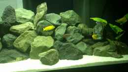 Video Beckenübersicht von ehemaliger User (lOA79S7uWyo)