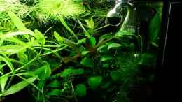 Video mein erstes Nano Becken von odin 68 (lOOXPeoesjw)