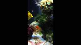 Video Demura München von ehemaliger User (lSMvkungWig)