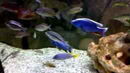 Video Malawi von ehemaliger User (lTxdqIoAJoM)