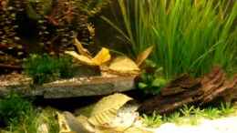 Video Video 2 von Marina (lfVGdGExhs4)