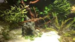 Video Becken von Rocknar (mBcfboW-wa0)