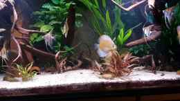 Video Dezember 2019  von ravaka (mGfHeQGoqC8)