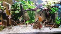 Video 2020 Jan - Beckenansicht von ravaka (mgaj7KuWQK0)