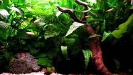 Video Grüne Hölle am 16.11.2011 von ehemaliger User (moLHMO6AodQ)