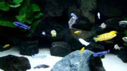 Video Mbunasuppe von T H O R (mzFsmBXztTQ)