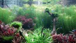 Video Tag 60 von Michael Müller (nCW2OconpfY)