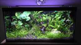 Video Video vom 22.08.2018 von Mike Steidl (nEcAFbFvyX4)