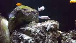 Video Malawi Rock 540 l abendstimmung von Mel (nWfKQwQCTCo)