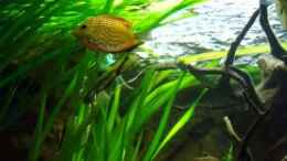 Video Besatz Fotogalerie von PH Neutral (nZdH40GszrA)