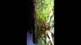 Video es lebt (videoeffekte-geometrie-270 grad) von El Hein (niNpW8ONgos)