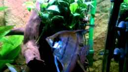 Video Vollbracht von Ottche (njVlCd_rtLU)