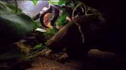 Video Von schräg unten von ehemaliger User (nq7mm1CcZqs)