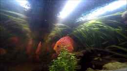 Video Video von Einrichtungsbeispiele.de von ehemaliger User (o3FY-e-Ix3s)