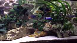 Video 27.02.2014 von F.I.E.T.E. (oDELwyJJDwA)