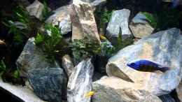 Video 1. Video - Video von einrichtungsbeispiele.de von Lippi (oWZszlgrIIY)