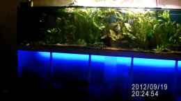 Video Tür und Beleuchtung sind installiert von Hollyday (opuH91r_0x8)