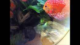 Video Video von Einrichtungsbeispiele.de von ehemaliger User (orSu-P1gzNk)