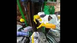 Video Fütterung von Andreas Musterfisch (p2yrBdXdVYo)