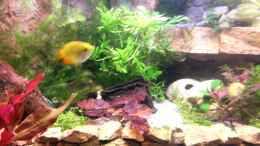 Video Fantasyworld von Bluemoon (p3XduHUNT2I)