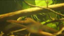 Video Neues Video von Didi (p5Li_Vf84BI)