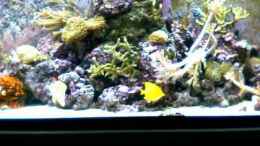 Video nach 2 Jahren von Daniel Winkler (pE-f56UfZxU)