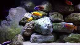 Video Malawis and Stones von ehemaliger User (pjrMpJYMpO4)