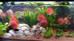 Video Video von Einrichtungsbeispiele.de von ehemaliger User (puNun13wCAQ)