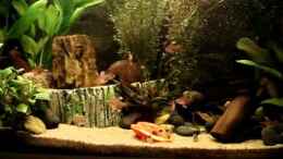 Video Ein Hauch von Südamerika von *Thorsten* (pw9haPZPm4w)