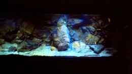 Video Das Afrikas Lake Malawi Becken von Florian Bandhauer (qAxYgpjfIBE)