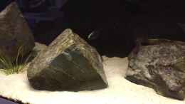 Video 375 malawi von Malawi Appel (qDKZxudZSe0)