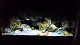 Video Mein Malawi Becken in bewegten Bildern. von marxbre (qVsXgbD8JAE)